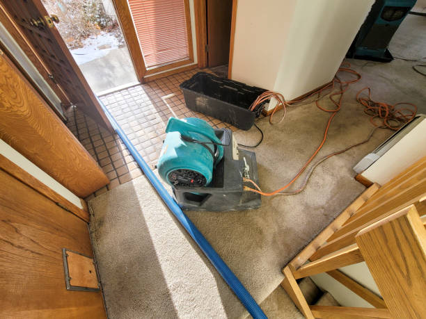Best Sewage cleanup and water damage restoration  in Southport, IN