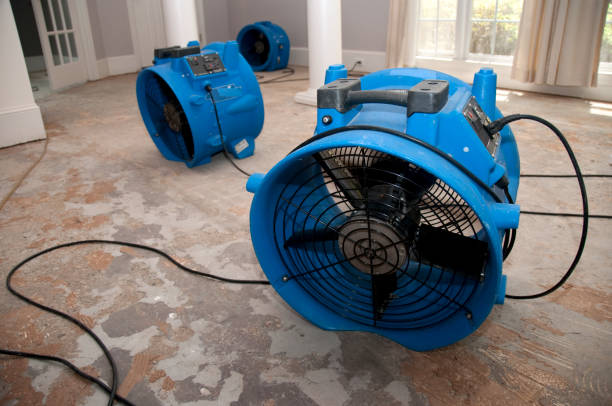 Best Residential water damage restoration  in Southport, IN