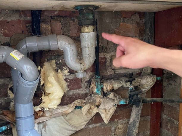 Best Carpet water damage restoration  in Southport, IN